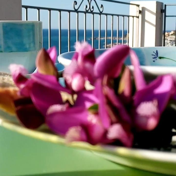 Agriturismo La Tuffatrice 因佩里亚 外观 照片